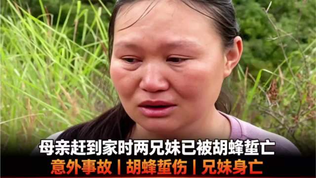 皇家社会直播_皇家社会免费在线高清直播_皇家社会视频在线观看无插件
